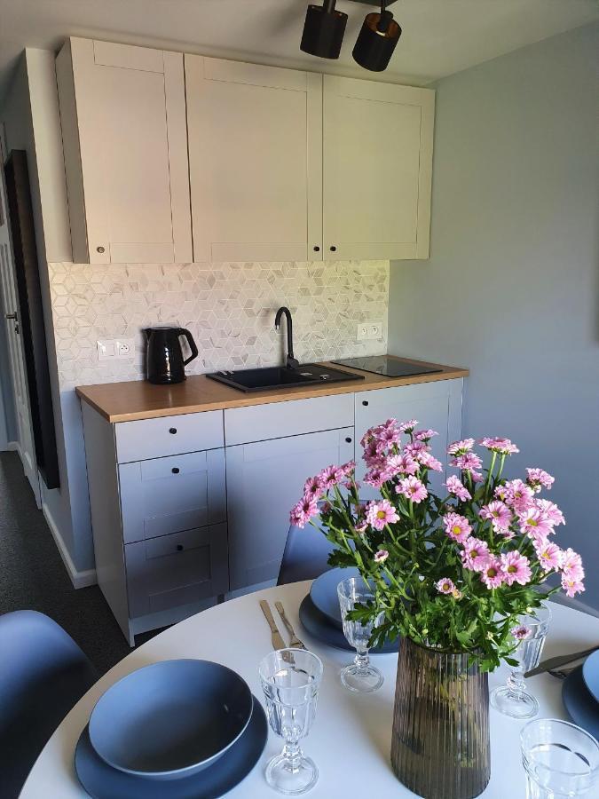 Apartamenty K17 Centrum Malbork Exterior foto